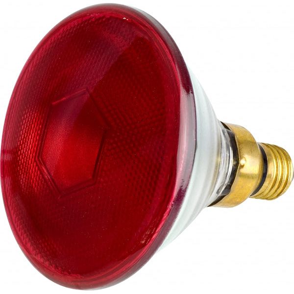 Infra-Red Par38 Hard Glass Lamp 175W