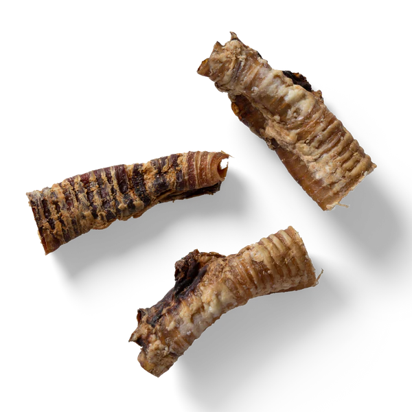 NAW Beef Trachea -1kg