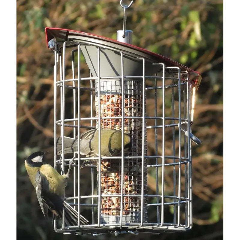 The Nuttery Roundhaus Nut Squirrel Proof Wild Bird Feeder