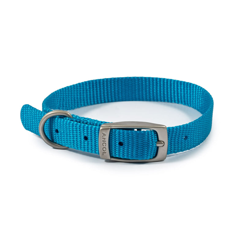 ancol-viva-buckle-collar-blue