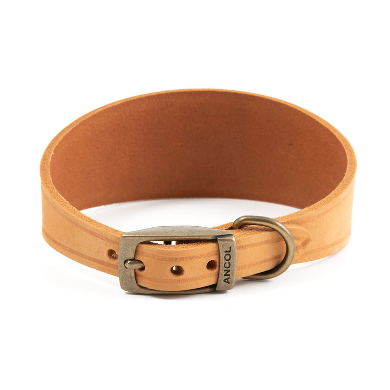 ancol-timberwolf-hound-collar-mustard