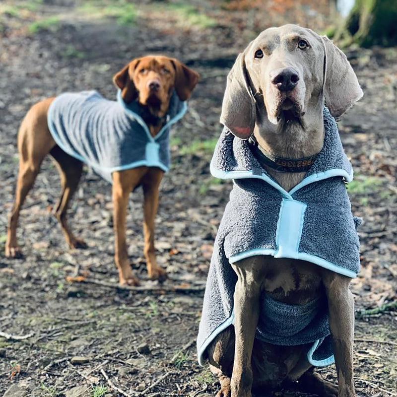 henry-wag-drying-coat