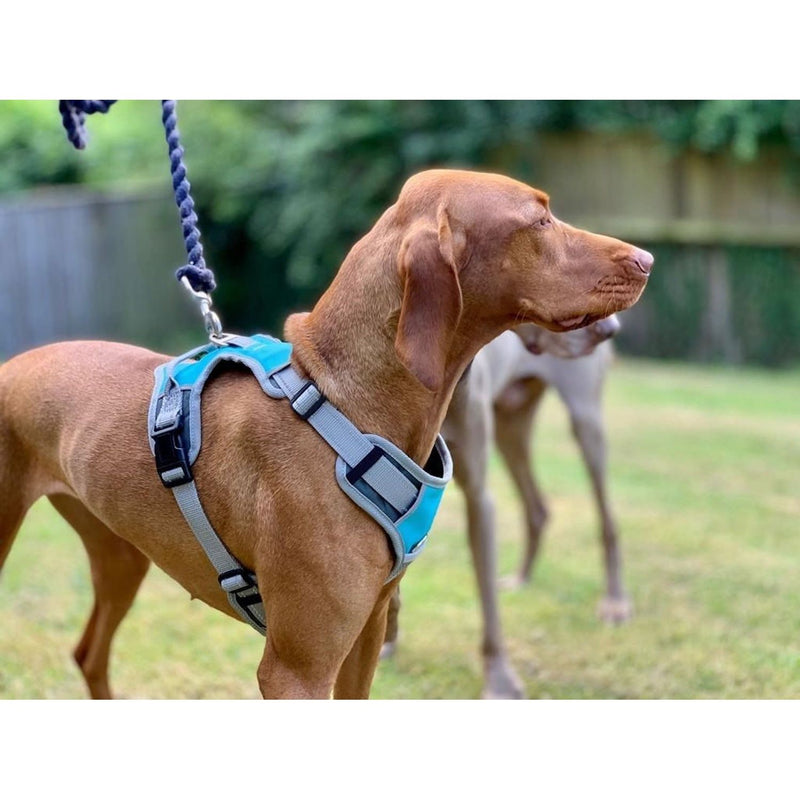 henry-wag-dog-travel-harness