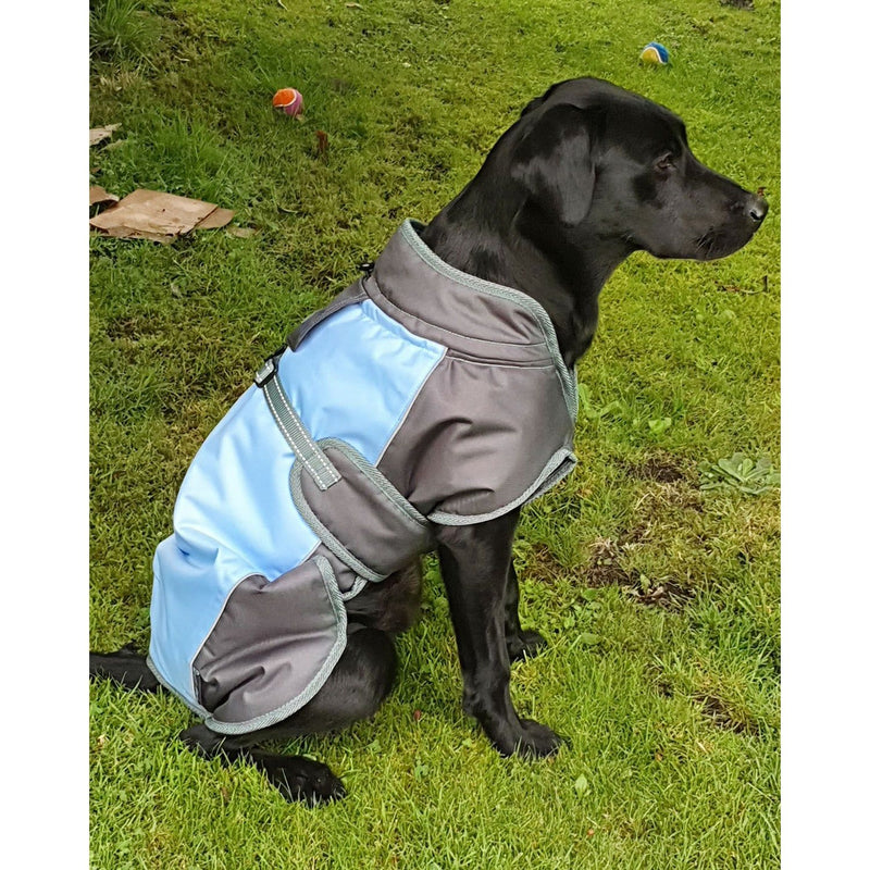 henry-wag-waterproof-dog-coat