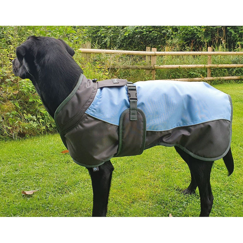 henry-wag-waterproof-dog-coat