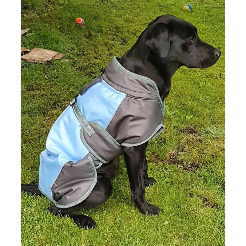 henry-wag-waterproof-dog-coat