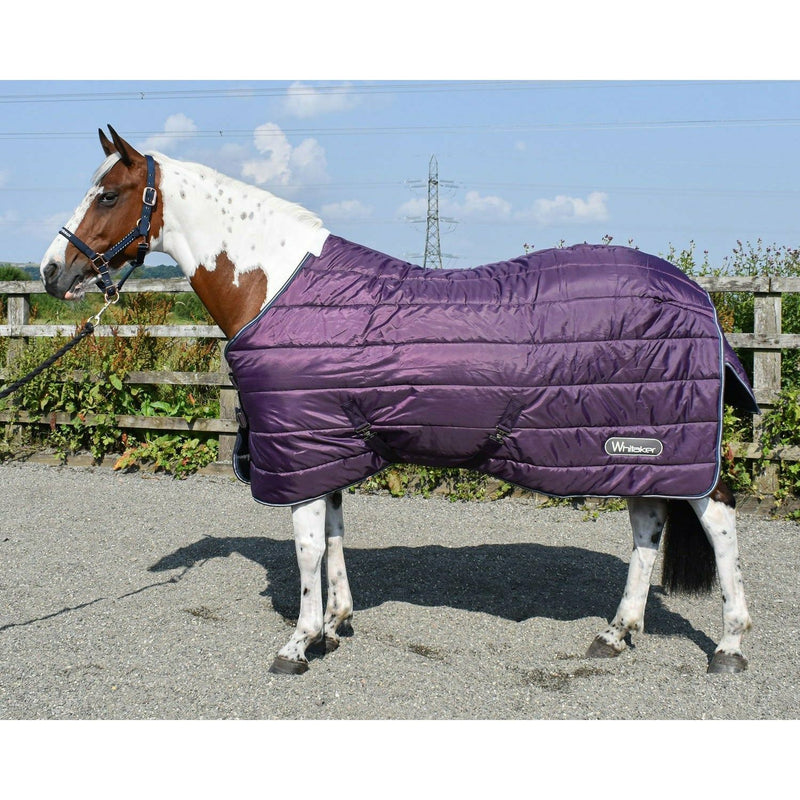 Whitaker Stable Rug Thistle 200Gm Plum